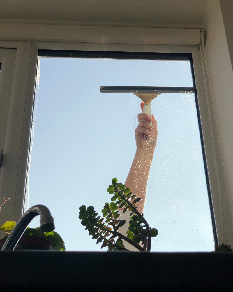 Fensterreinigung